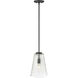 Saben 1 Light 9.25 inch Matte Black Pendant Ceiling Light